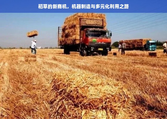 稻草的新商机，机器制造与多元化利用之路