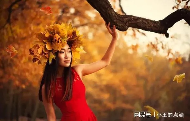 离婚后女人如何找到最赚钱的出路，探寻现代女性的财富之路