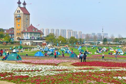 23亩山林地的盈利之道，探索多元化经营模式