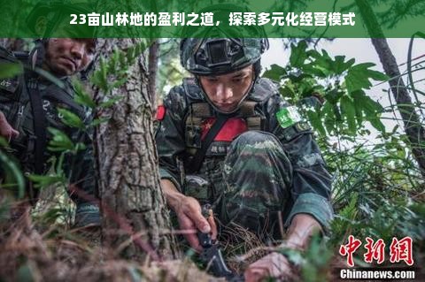 23亩山林地的盈利之道，探索多元化经营模式