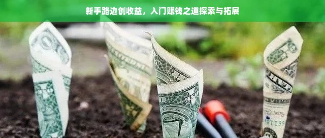 新手路边创收益，入门赚钱之道探索与拓展