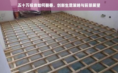 五十万投资如何翻番，创新生意策略与前景展望