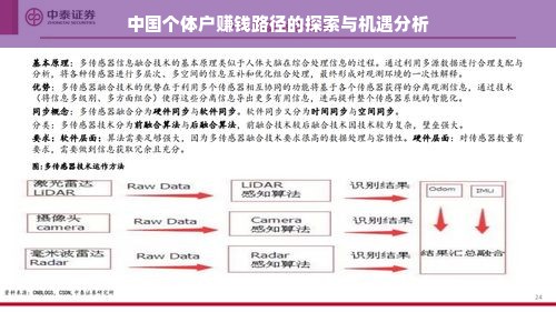 中国个体户赚钱路径的探索与机遇分析