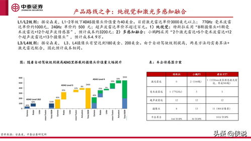 中国个体户赚钱路径的探索与机遇分析