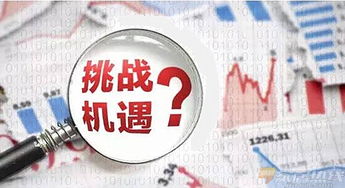 全民创业的时代，如何抓住机遇赚取财富的多元路径探索