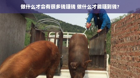 做什么才会有很多钱赚钱 做什么才能赚到钱?