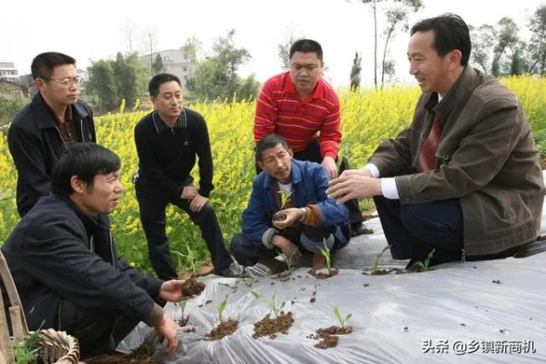 南陵母婴服务品牌，专业呵护，母婴无忧