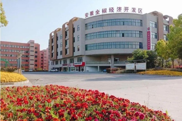 安徽全椒，探寻赚钱热门行业的多元发展之路