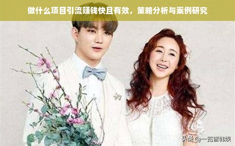 做什么项目引流赚钱快且有效，策略分析与案例研究