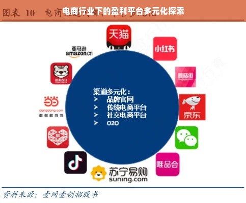 电商行业下的盈利平台多元化探索