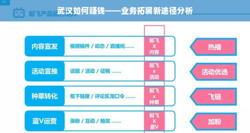 武汉如何赚钱——业务拓展新途径分析
