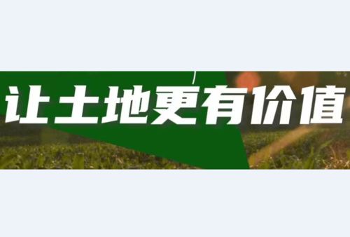 繁昌母婴看护品牌，守护母婴健康的温馨港湾