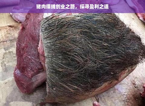 保湿泥面膜大揭秘，这些品牌让你肌肤水嫩透亮！