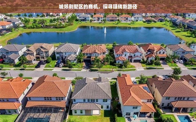 城郊别墅区的商机，探寻赚钱新路径