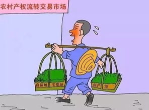 农村赚钱机会何处寻？快速入门小买卖宝典