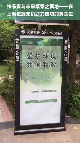 快节奏与未来繁荣之高地——在上海把握先机助力成功的黄金生意路径