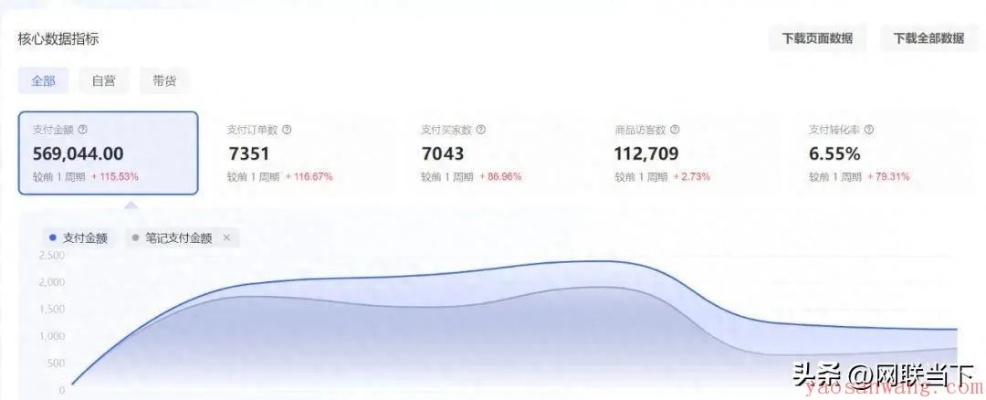 小红书新手赚钱领域探索，揭秘热门行业的盈利秘诀