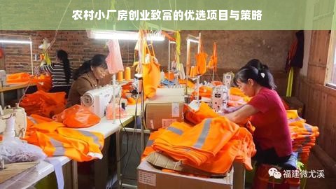 农村小厂房创业致富的优选项目与策略