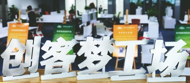 大米的多重价值，女性创业者的创新之路