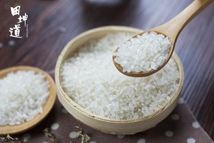 六联发票打印，这些品牌打印机值得推荐！