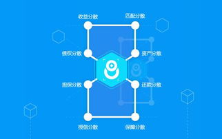 羊小咩便荔卡额度提现攻略，提升额度的小妙招与实用建议