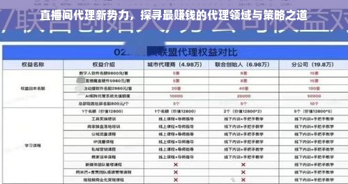 直播间代理新势力，探寻最赚钱的代理领域与策略之道