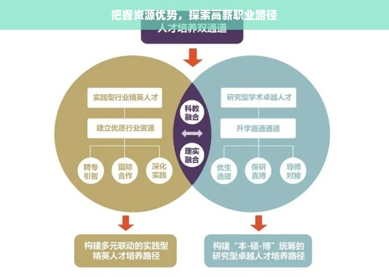 把握资源优势，探索高薪职业路径