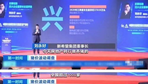 泌阳商业新机遇，探索赚钱快的生意领域