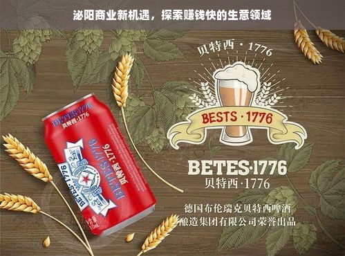 泌阳商业新机遇，探索赚钱快的生意领域