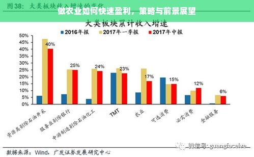 做农业如何快速盈利，策略与前景展望