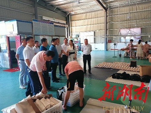 溆浦县，探索多元产业，开启财富之门