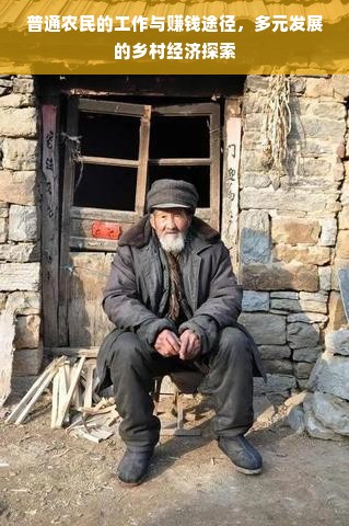 普通农民的工作与赚钱途径，多元发展的乡村经济探索