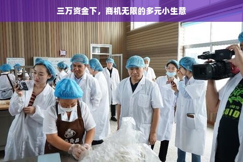 京东白条额度怎么套出来？