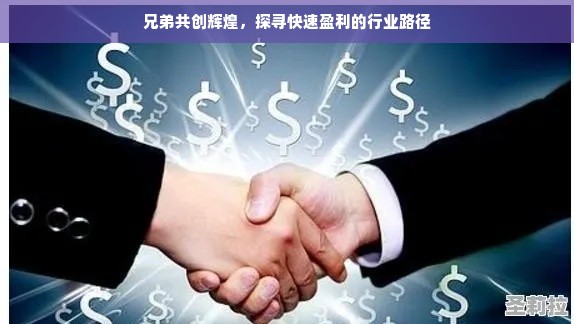 兄弟共创辉煌，探寻快速盈利的行业路径