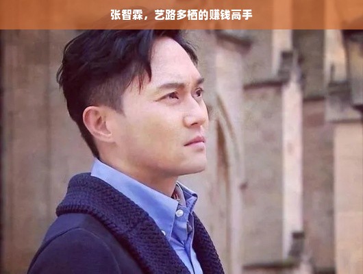 张智霖，艺路多栖的赚钱高手