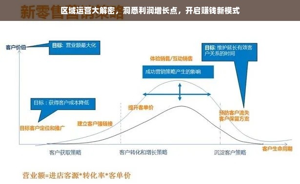 区域运营大解密，洞悉利润增长点，开启赚钱新模式