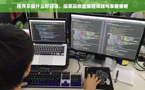 程序员做什么好赚钱，探索高收益编程领域与发展策略
