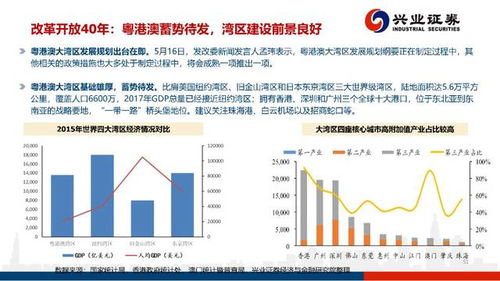 南宁人在家如何创造收益，多元化途径与策略探讨