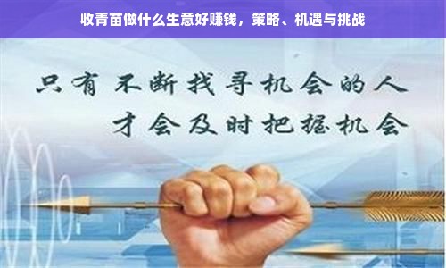 收青苗做什么生意好赚钱，策略、机遇与挑战