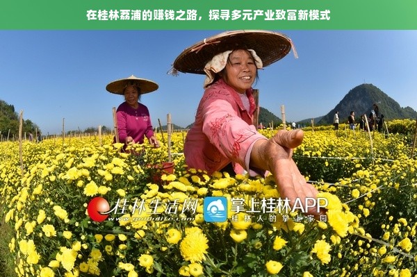 在桂林荔浦的赚钱之路，探寻多元产业致富新模式