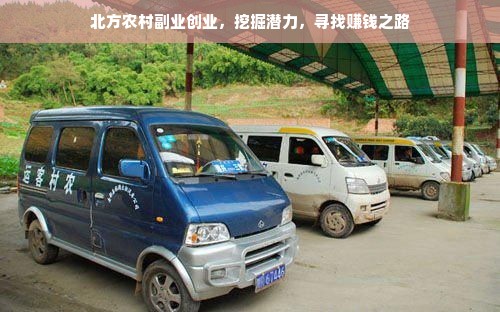 北方农村副业创业，挖掘潜力，寻找赚钱之路