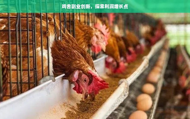 鸡舍副业创新，探索利润增长点