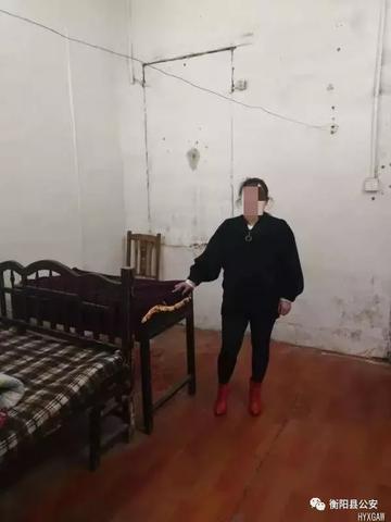 冰箱选购指南，揭秘最适合中国家庭的品牌选择