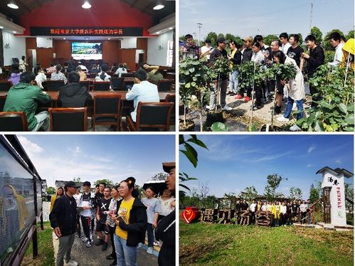 线下微信分付兑现，深度解析与实用指南
