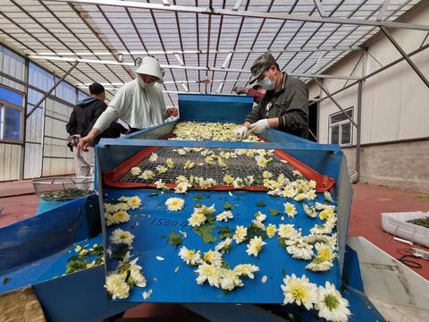 医药品牌商标贴标详解，过程、要点与案例分析