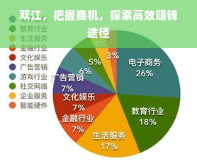 双江，把握商机，探索高效赚钱途径
