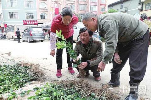 鹿优选先享卡额度兑现，鹿优选怎么减额度了呢？