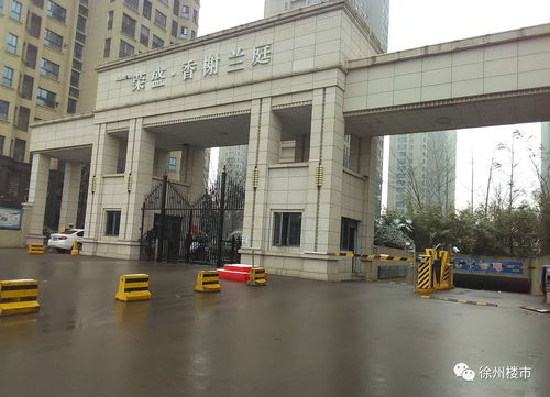 HD母婴品牌，品质之选，母婴关怀的贴心守护