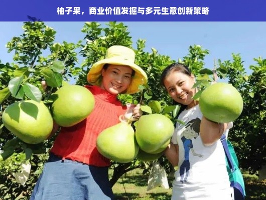 柚子果，商业价值发掘与多元生意创新策略