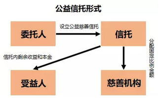 国内知名母婴品牌的故事，从起步到辉煌